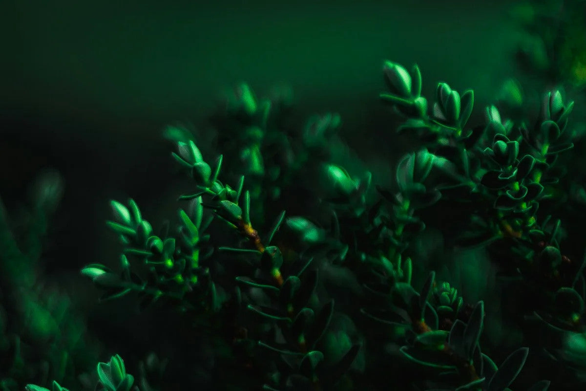 Why Retinol Works Best at Night