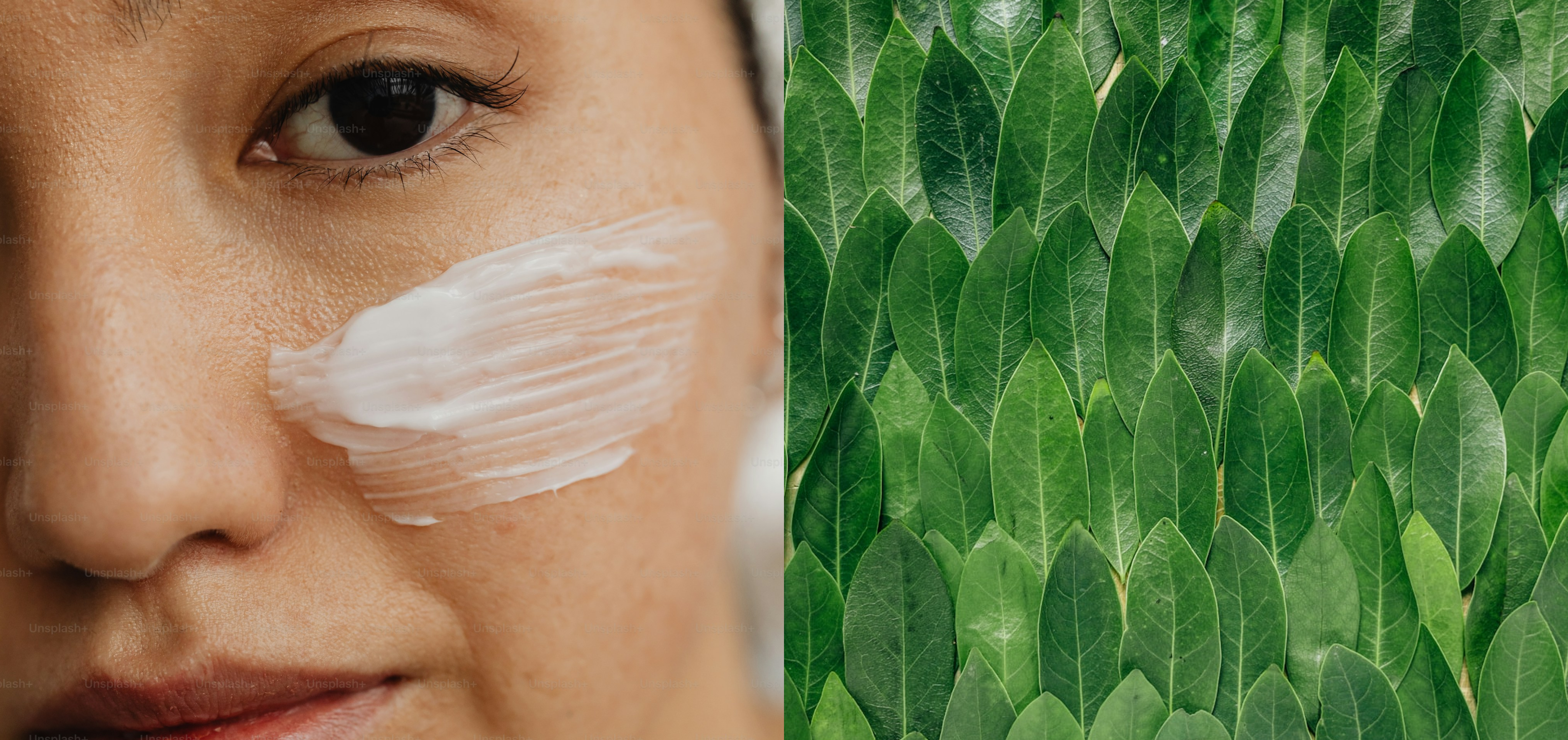 Bioniva: The Skincare Brand Making Waves in 2026